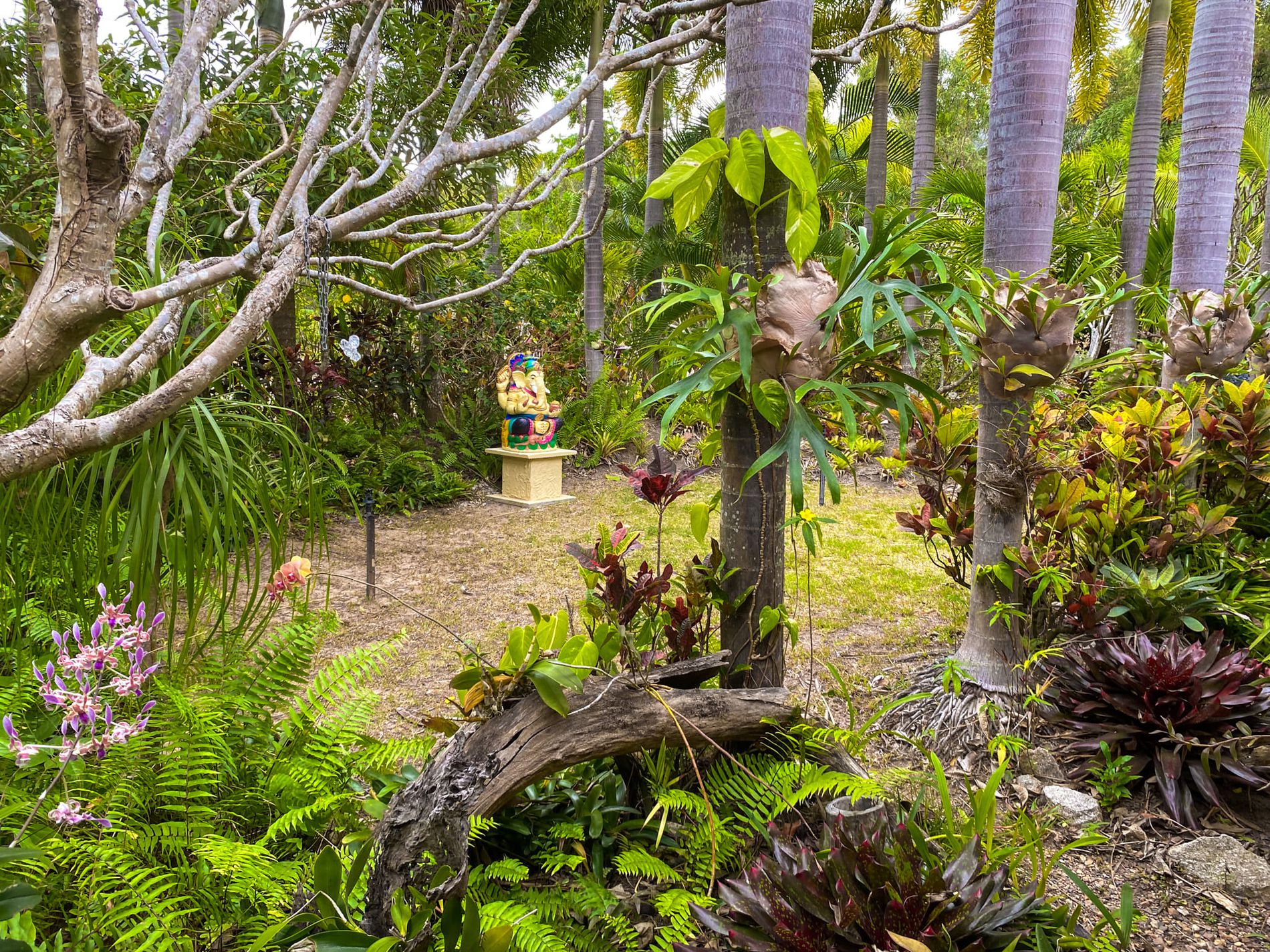 18 Hope Street, Cooktown