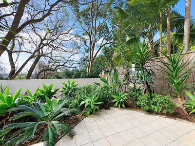 3 / 199 Edgecliff Road, Woollahra