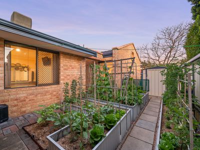 1 Mann Court, Winthrop