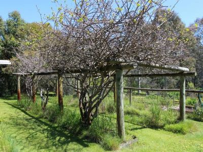 2608 Midland Highway, Swanpool