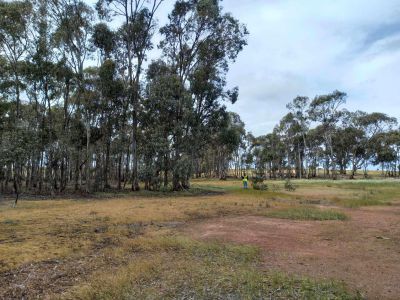 35 Taylors Road, Rheola
