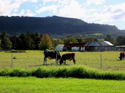 10 Lamonds Lane, Meroo Meadow