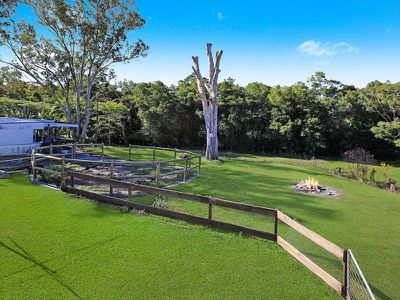 14 Sugar Gum Drive, Mooloolah Valley