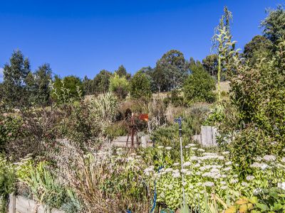 167 Glen Huon Road, Huonville