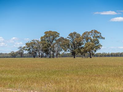 CA1, Section W Taylors Bridge Road, Norong
