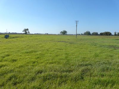 Tocumwal