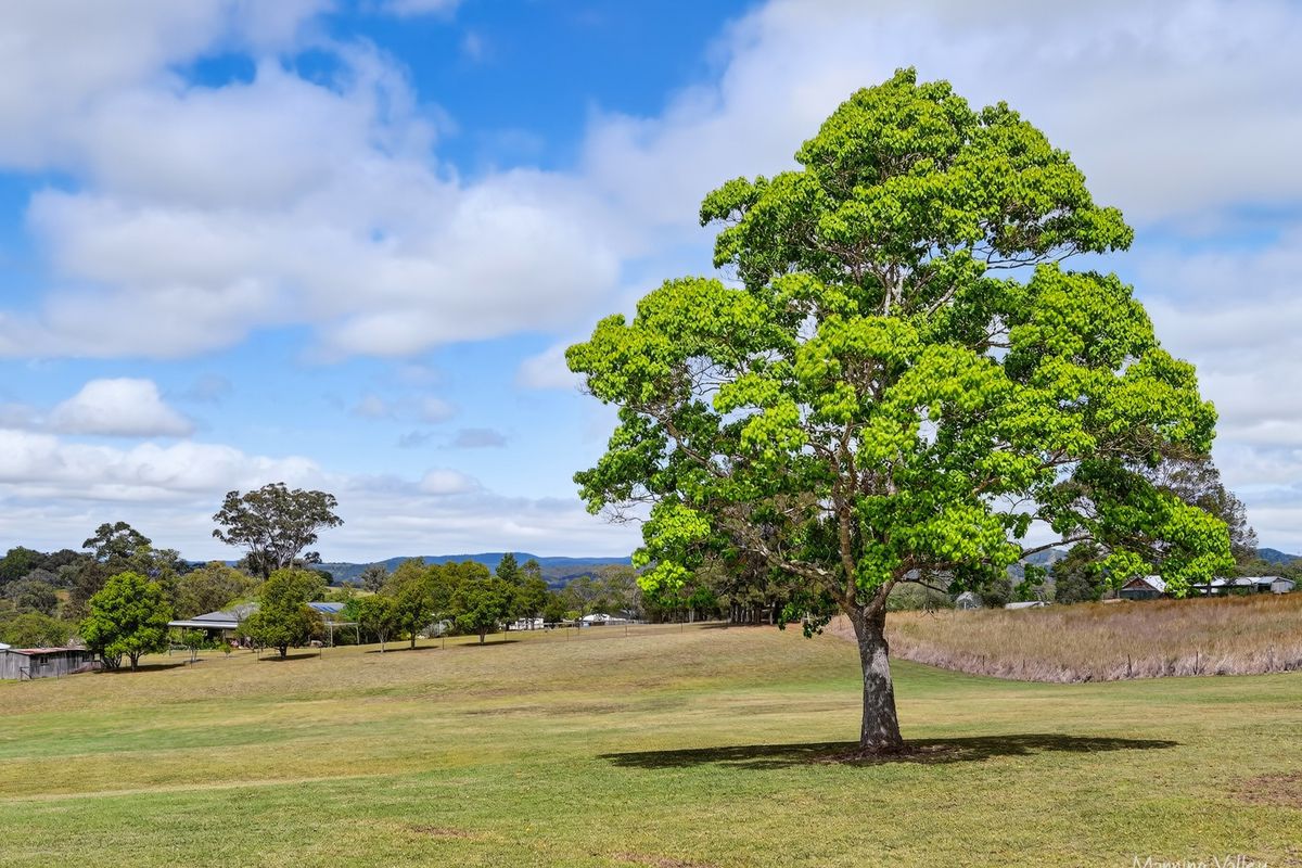 16 Helmich Close, Wingham