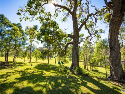 352 Bodalla Park Drive, Bodalla