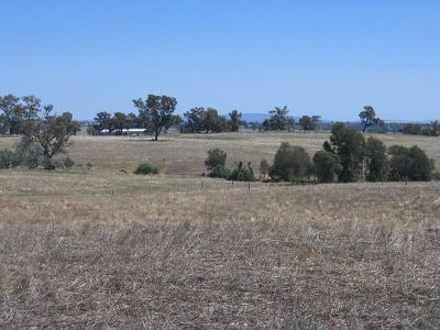 CA 29 HILLS ROAD, Heathcote