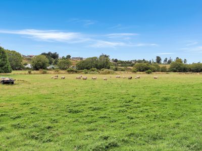 15 Sinclair Avenue, Nightcaps