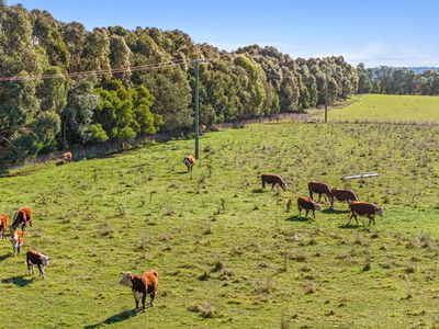 8 Gullen Flats Road, Bannister via, Goulburn