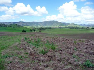 Conondale