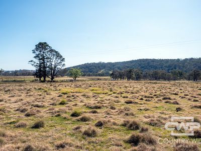 1651 Shannon Vale Road, Shannon Vale