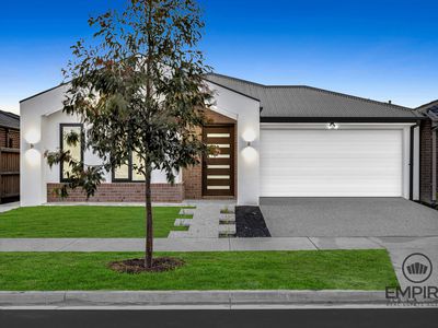 19 Heifer Avenue, Clyde North