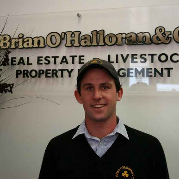 Meet Our Team Brian O Halloran Co