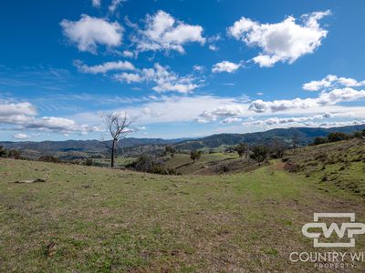 Lot 21 Halls Creek Road, Bendemeer