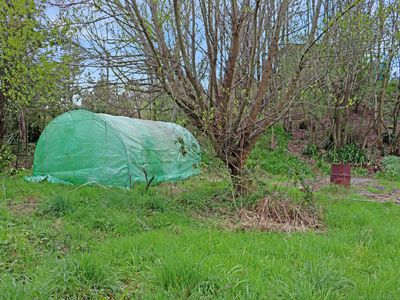 41 & 43 Johnston Road, Nightcaps