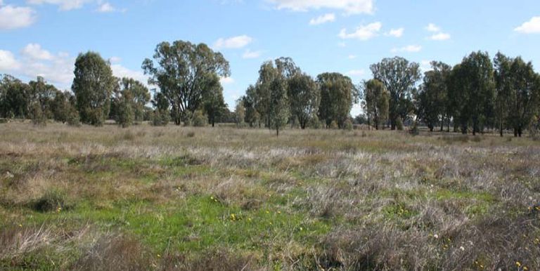 2 / Euroa Shepparton Road, Miepoll