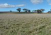 * Finches Road, Molong