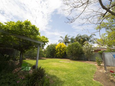 104 Dalton Street, Dubbo