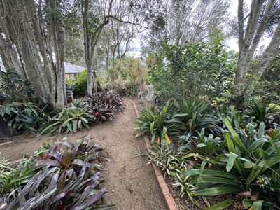 98 Hicken Way, Nanango