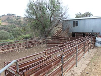 1735 The Bridle Track, Bruinbun