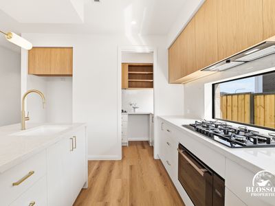 3 Hannah Street, Box Hill