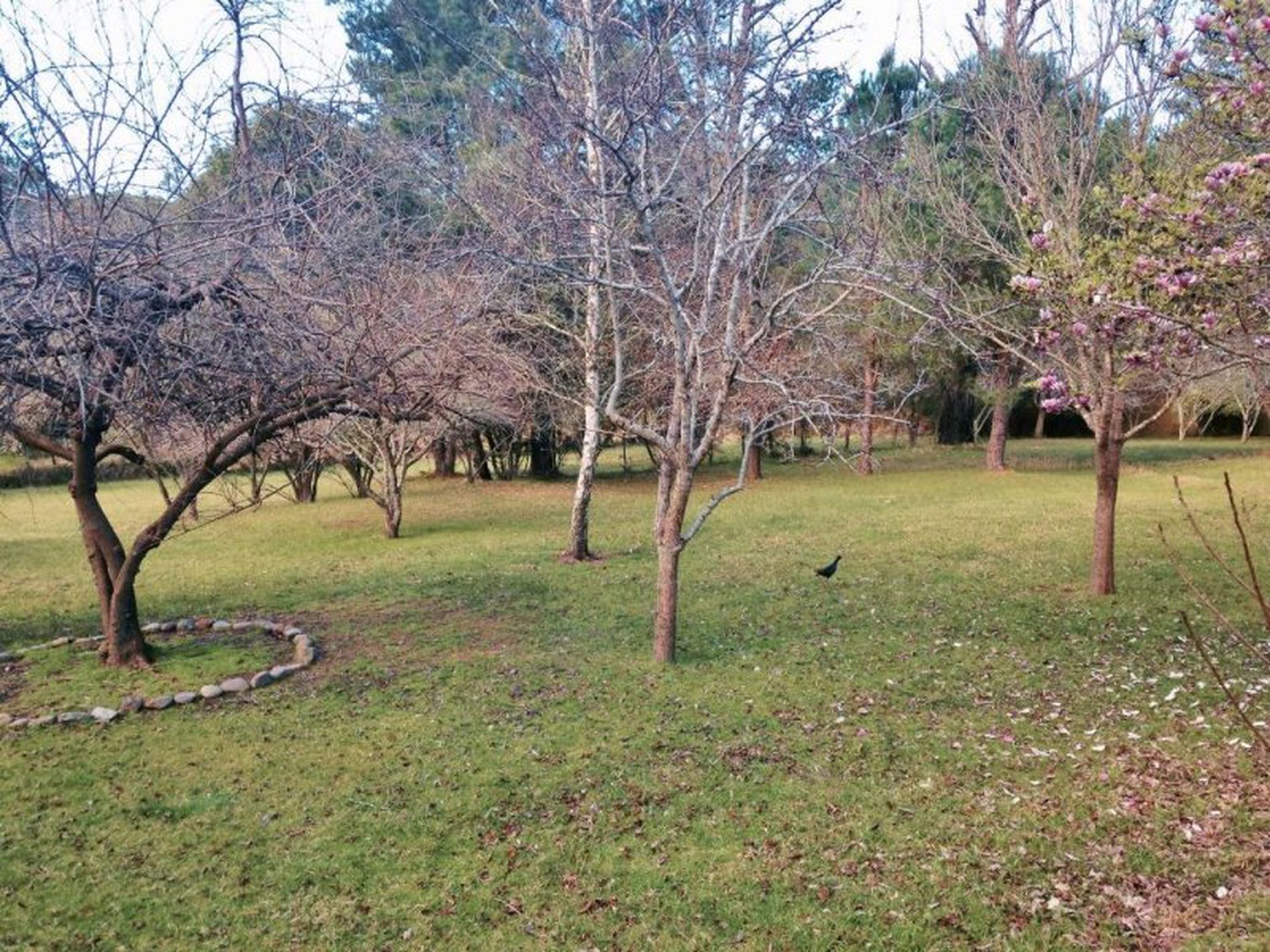 F2480 Princes Highway, Termeil