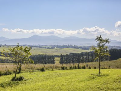 125 Wyndham Lane, Toothdale