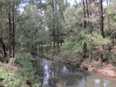 162 Walli Creek Road, Kenilworth