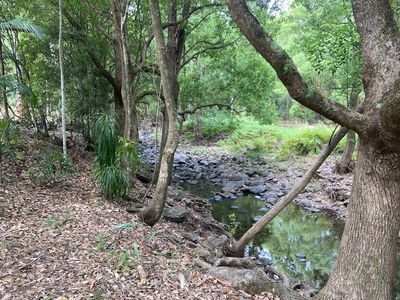 327 Crofton Road, Nimbin