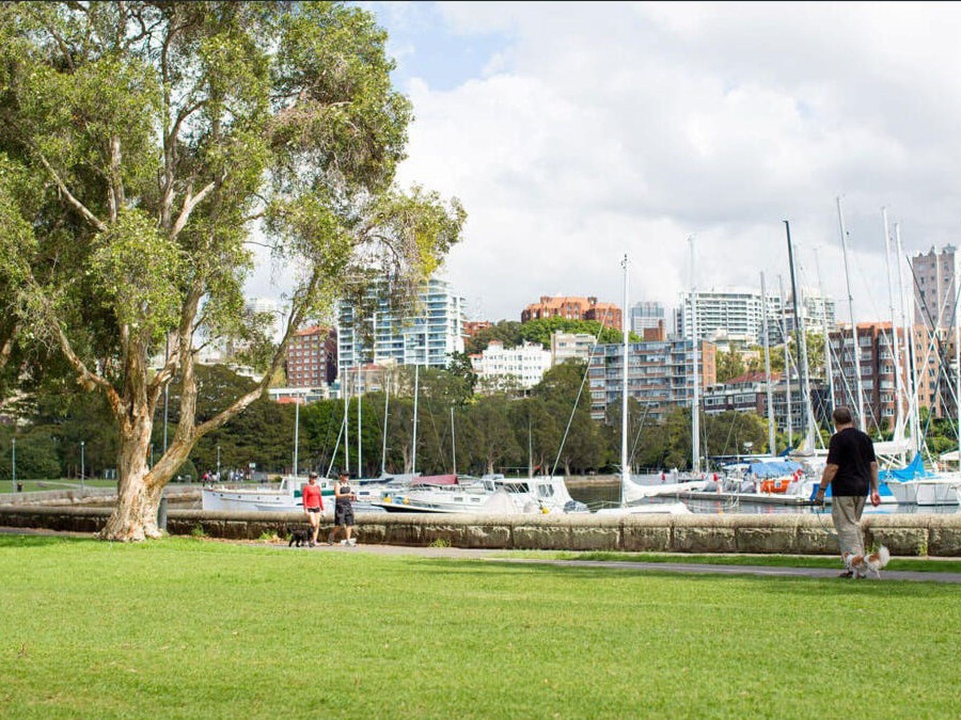 305 / 85 New South Head Road, Edgecliff