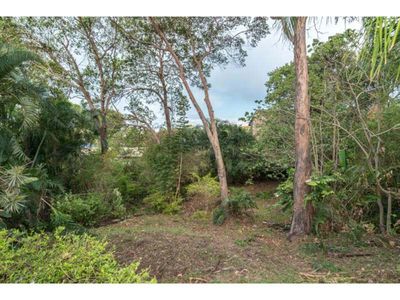 53 Taringa Parade, Indooroopilly