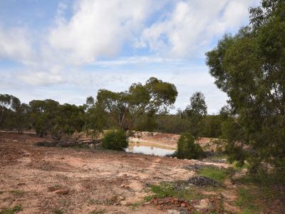 54R Rosedale Road, Dubbo