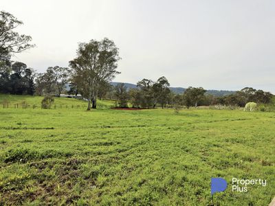 17 Twyford Street, Harcourt