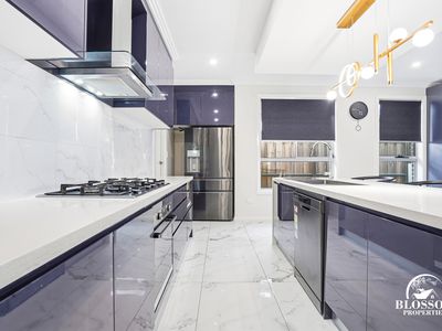 53 Ribbonwood Crescent, Marsden Park