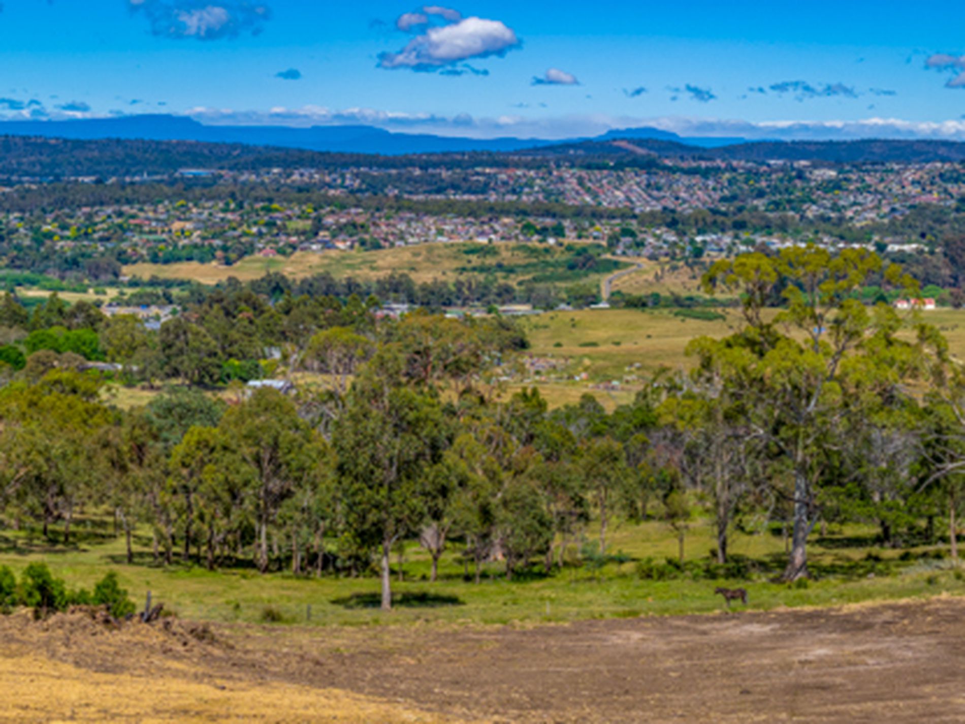 99 Abels Hill Road, St Leonards