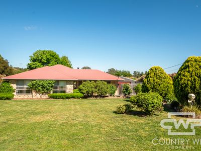 14 Cramsie Crescent, Glen Innes