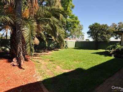 427 Wheelers Lane, Dubbo