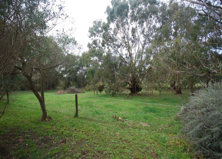 55 Nashs Road, Bolwarra
