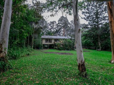 121 Neill Road, Mooloolah Valley