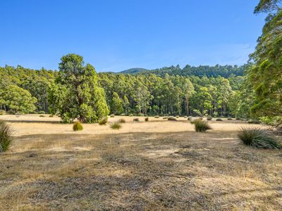 Lot1, Devlyns Road, Birchs Bay