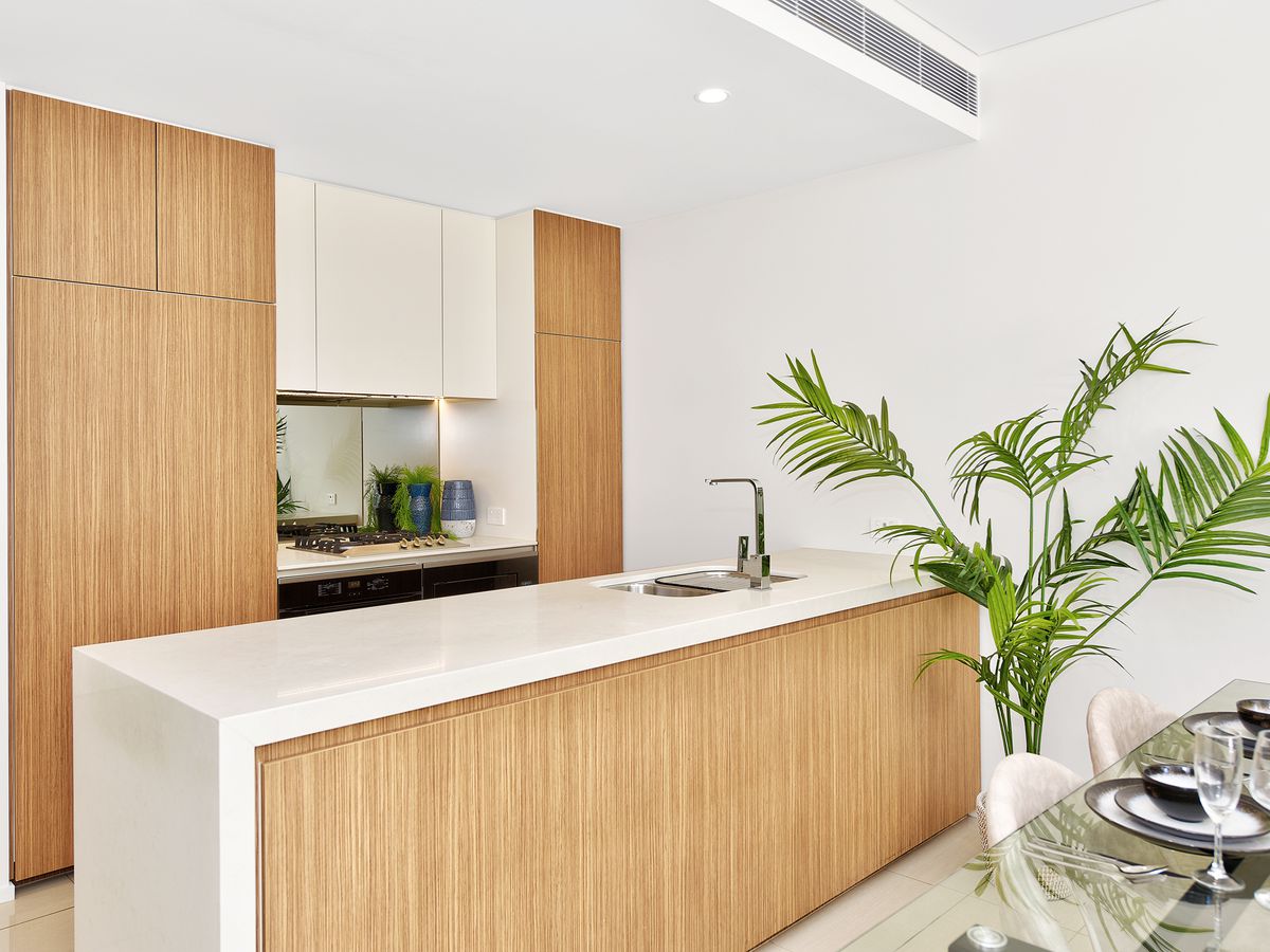 1305 / 161 Clarence Street, Sydney