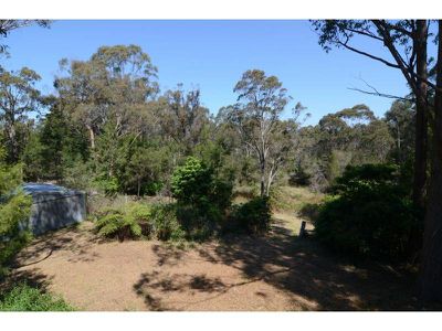 17 Settlers Road, Greigs Flat