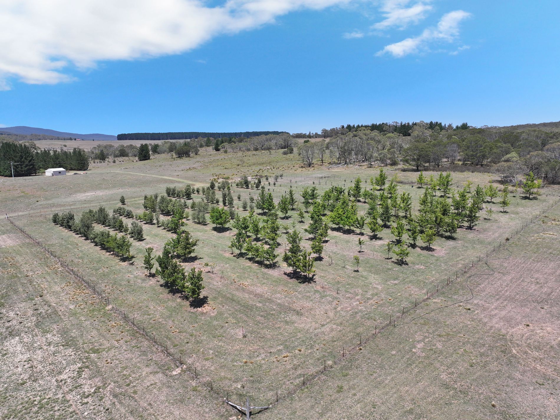 760 Wallaces Gap Road, Braidwood