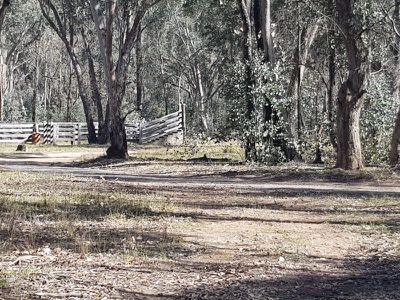 52 Masons Gap Road, Indigo Valley