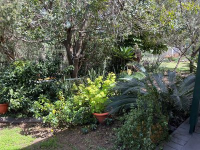 39 Burnett Street, Kingaroy