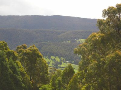 Lot 5 Misty Hill Road, Mountain River