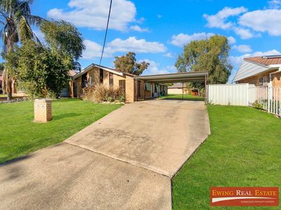 1 / 31 Bando, Gunnedah