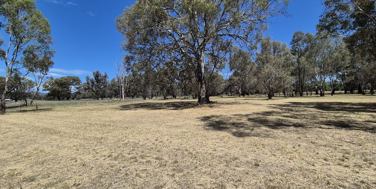 Lot 1, Irwin Street, Violet Town